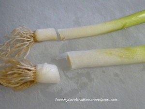 greenonioncut