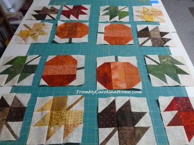 autumn-jubilee-qa-topper-1