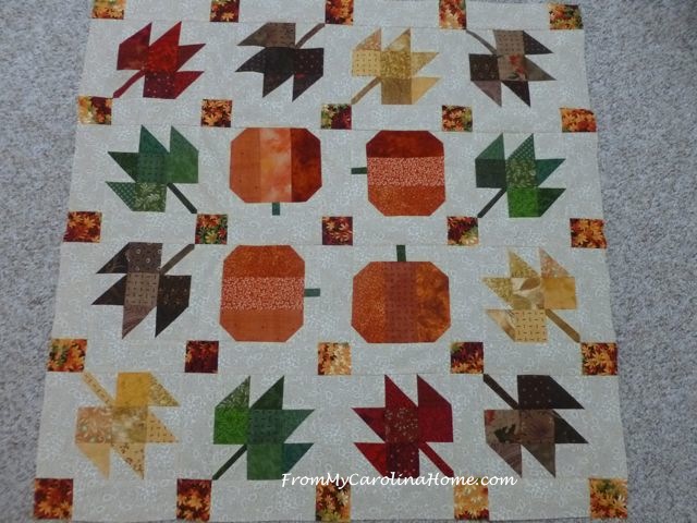 autumn-jubilee-qa-topper-5